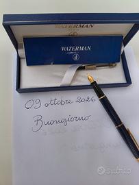 Penna Stilografica Waterman Expert Blu/Oro