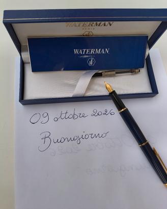 Penna Stilografica Waterman Expert Blu/Oro