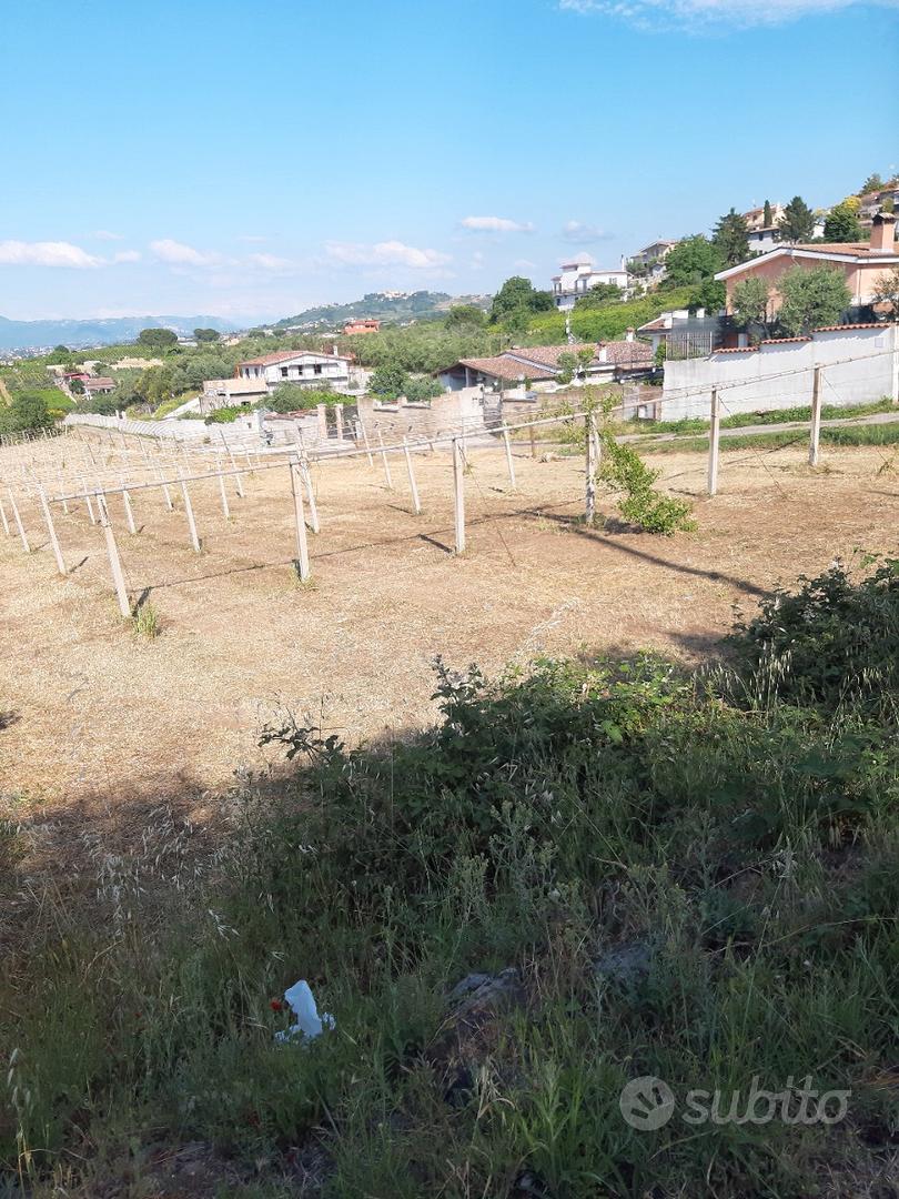Terreno agricolo Vicolo dei Trugli Roma - Vista 2