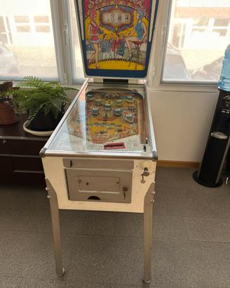 Flipper pinball Slick and Chick