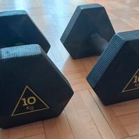 manubri 10kg decathlon domyos