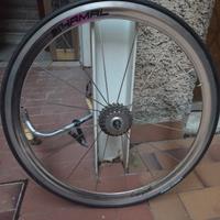 ruota shamal campagnolo posteriore 9v