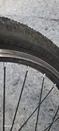 bicicletta