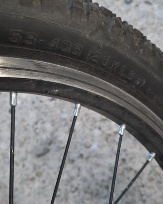bicicletta