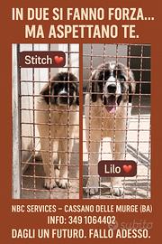 Lilo e Stitch senza richiedte