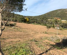 Terreni a san vittore olbia