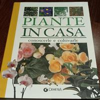 piante in casa 