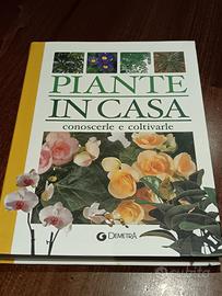 piante in casa 