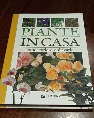 piante in casa 