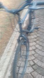 bicicletta da uomo