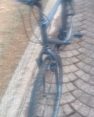 bicicletta da uomo