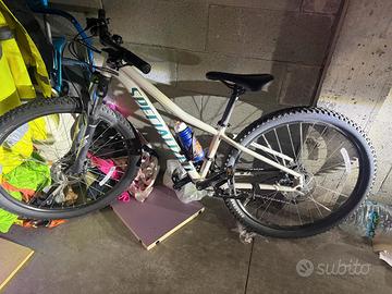 specialized Rockhopper 27,5