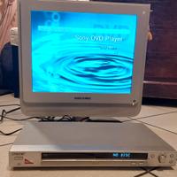 Monitor e lettore DVD 