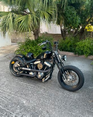 Harley cross bones 1580