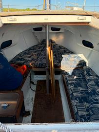 Barca a vela boxer 24