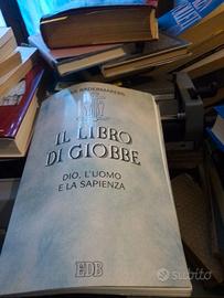 Il libro di giobbe