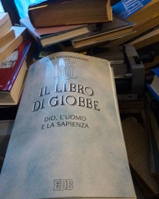 Il libro di giobbe