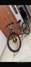 bicicletta