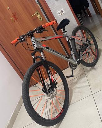 bicicletta