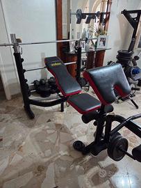 panca , bilanciere, manubri  e 100 kg di pesi 