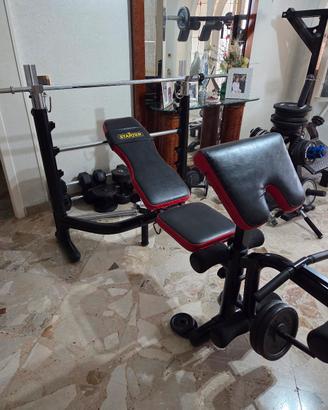 panca , bilanciere, manubri  e 100 kg di pesi 
