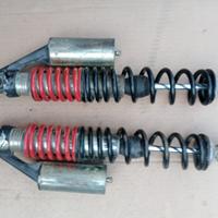 ammortizzatori Corte e Cosso