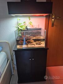 acquario completo 