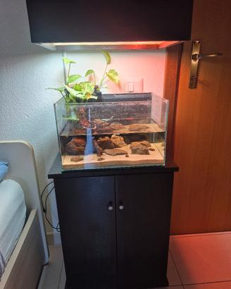 acquario completo 