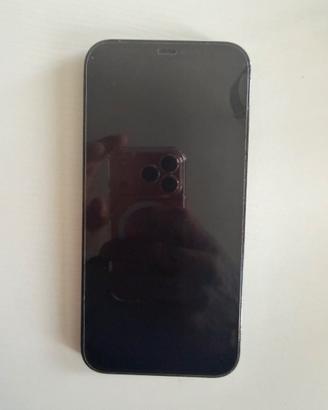 iPhone 12 Pro Max 256GB