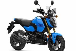 HONDA MSX 125 Grom my25