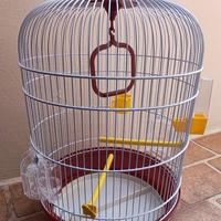 gabbia uccelli 
