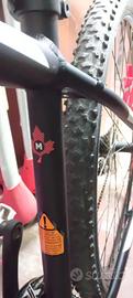 bici MTB focus 29 M