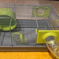 Gabbietta per criceti