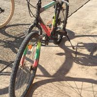 bicicletta MTB