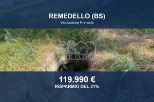 Immobile in asta di 28480 m² a Remedello
