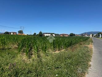 TER. AGRICOLO A PONTE BUGGIANESE