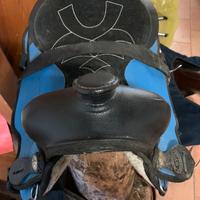 Sella americana sintetica