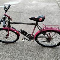 Mountain Bike BOTTECCHIA sherpa misura 26