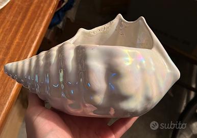 Conchiglia decorativa