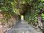 Immagine 20