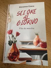 Sei ore al giorno