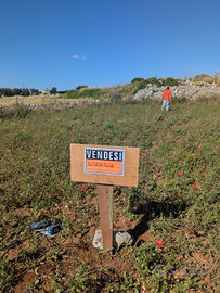 Terreno Agricolo