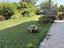 Immagine 25