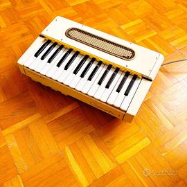 Hohner Organetta 3 anni 50 con spedizione inclusa!