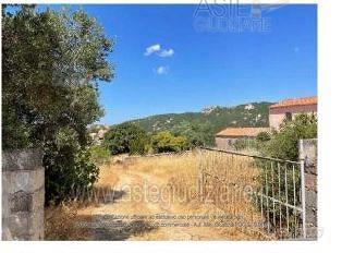 Terreno Agricolo Bortigiadas [A4325590]