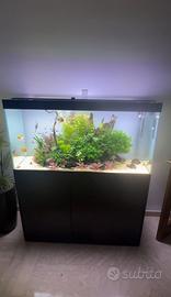 Acquario ciano emotions pro 240lt