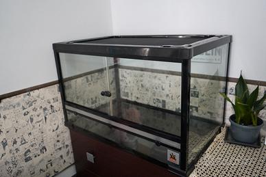 Terrario in vetro 50x50x80 cm con top in rete