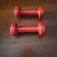 N. 2 Attrezzi da palestra kg 1 cadauno 