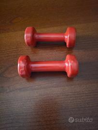N. 2 Attrezzi da palestra kg 1 cadauno 