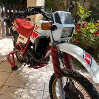 Xt 600 43f